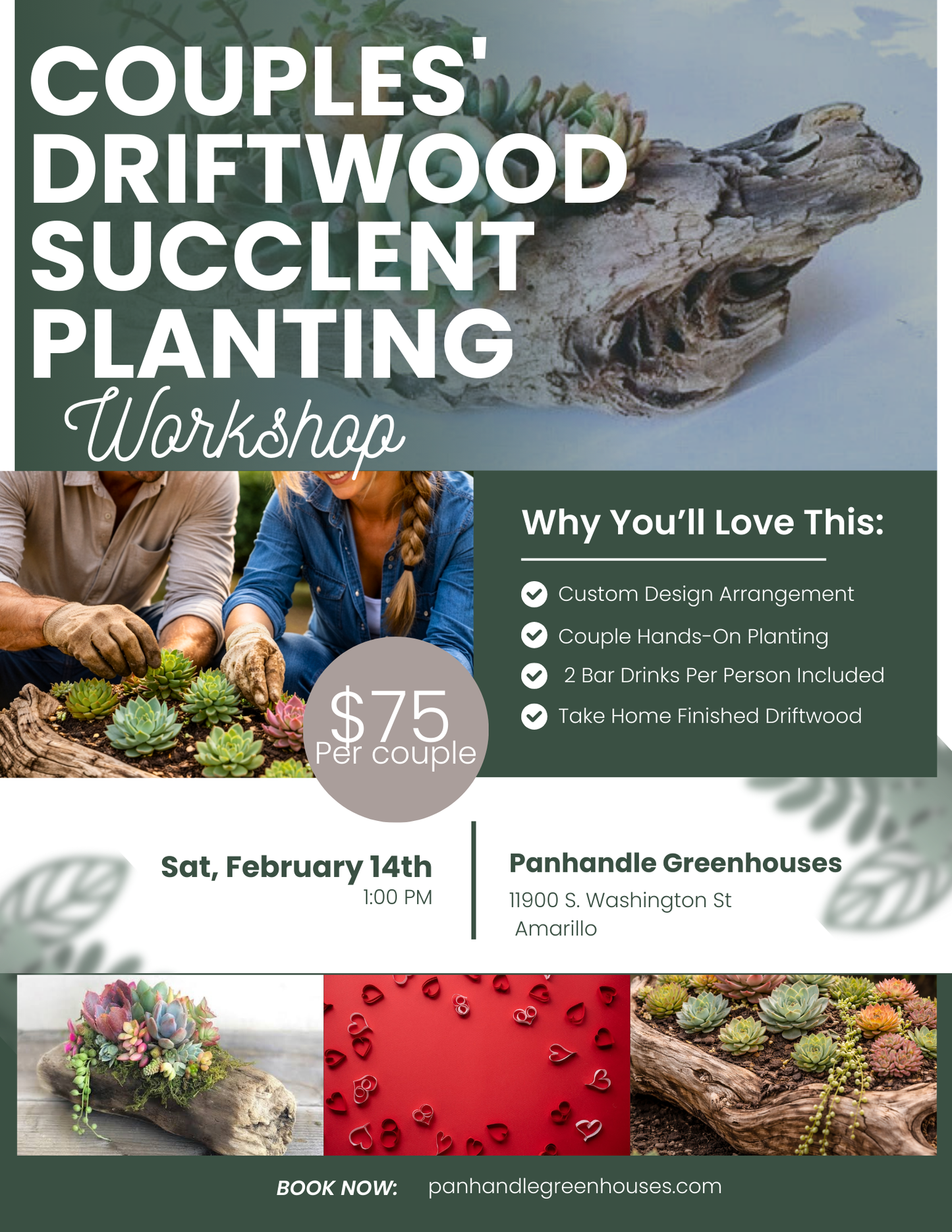 Couples Driftwood Succlent Planting