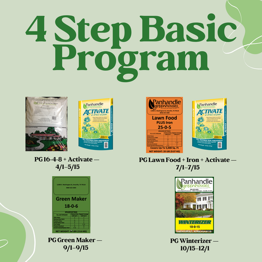 4 Step Basic Program