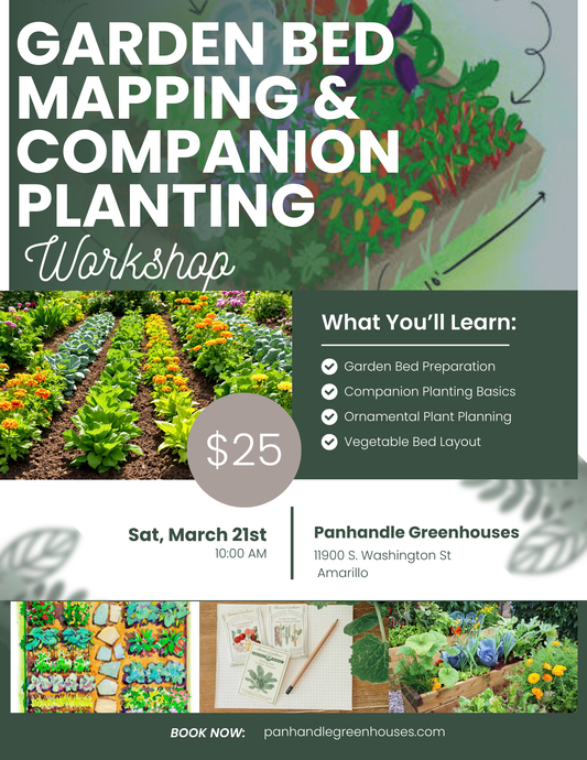 Garden Bed Mapping & Companion Planting