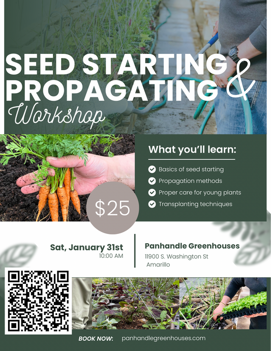 Seed Starting & Propagation Workshop