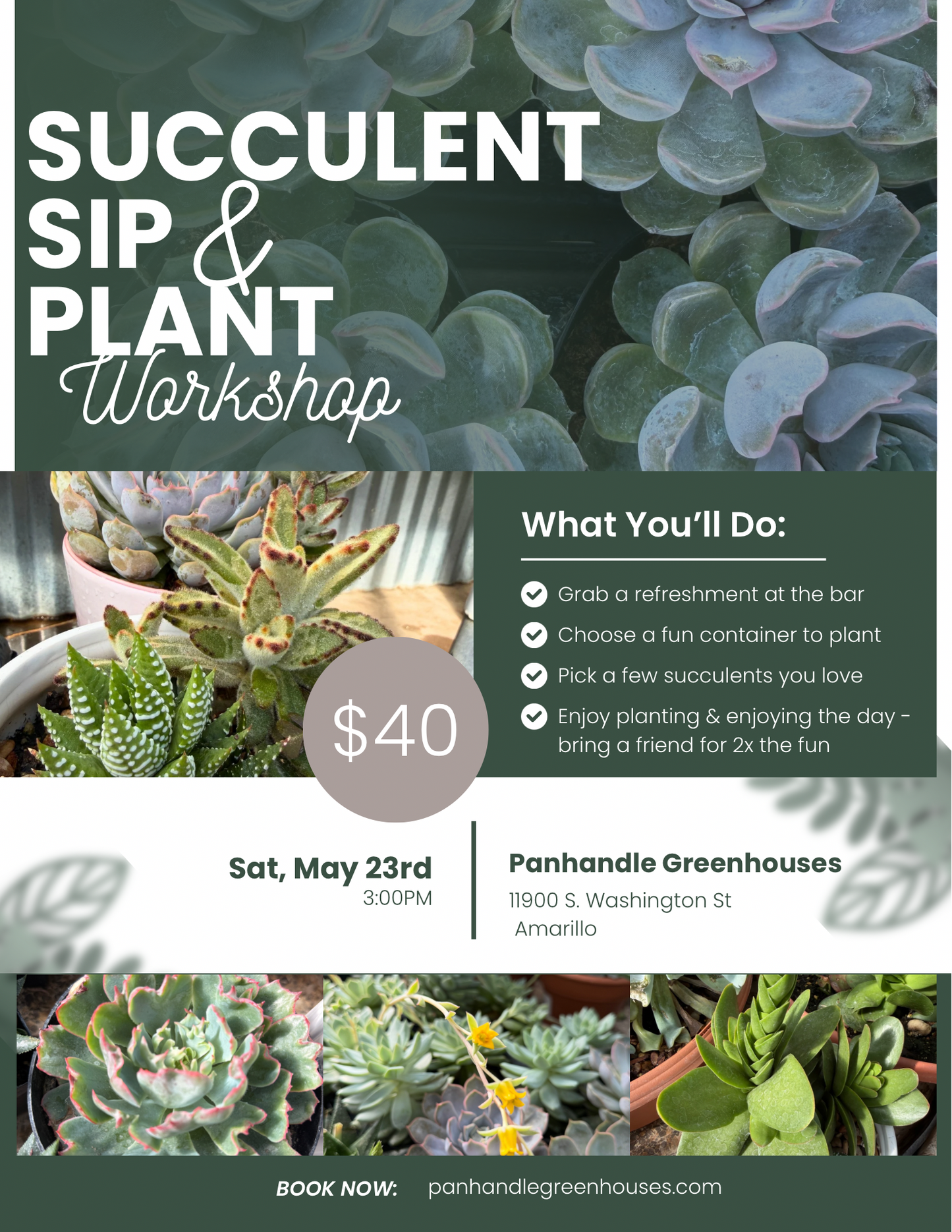 Succulent Sip and Plant