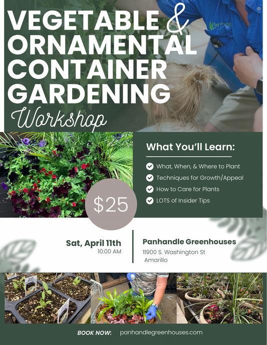 Vegetable and Ornamental Container Gardening