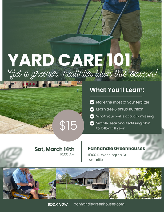 Yard Care 101